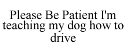 please be patient i'm teaching my dog how to drive