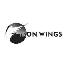 iron wings