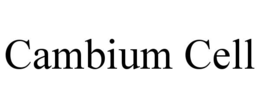 cambium cell