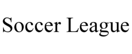 soccer league