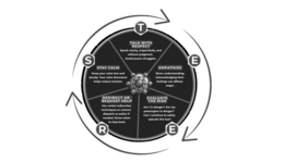s t e er: stay calm |talk with request | empathize | evaluate the risk |  redirect or request help