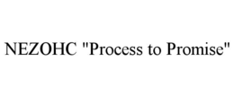 nezohc "process to promise"