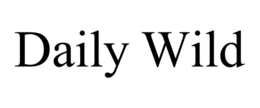 daily wild