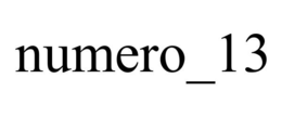numero_13