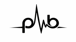 lower-case letter 'p' and lower-case letter 'b'.