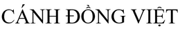 canh dong viet