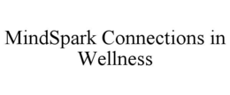 mindspark connections in wellness