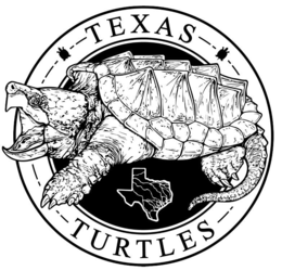 texas turtles