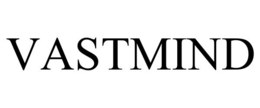 vastmind