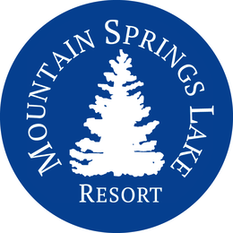mountain springs lake resort