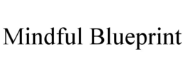 mindful blueprint