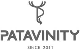 patavinity since 2011