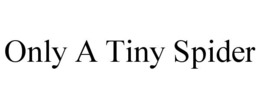 only a tiny spider