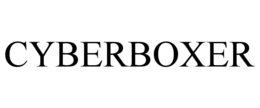 cyberboxer