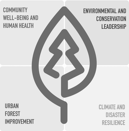 community well-being and human health environmental and conservation leadership urban forest improvement climate and disaster resilience