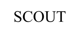 scout
