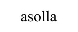 asolla