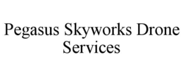 pegasus skyworks drone services