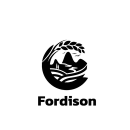 fordison