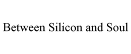 between silicon and soul