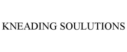kneading soulutions
