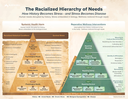 the racialized hierarchy of needs how history becomes stress and stress becomes disease. systemic health harm. human needs disrupted by history. racialized historical conditions. stress embedded in biology. reparative wellness interventions, interrupting 