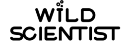 wild scientist