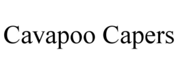 cavapoo capers