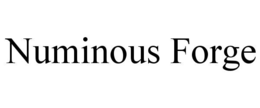 numinous forge