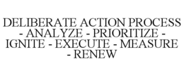 deliberate action process - analyze - prioritize - ignite - execute - measure - renew