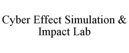cyber effect simulation & impact lab