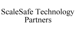 scalesafe technology partners