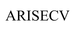 arisecv