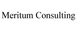 meritum consulting