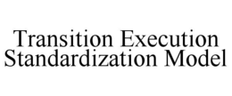 transition execution standardization model