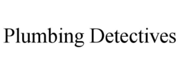 plumbing detectives