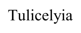 tulicelyia