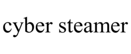 cyber steamer