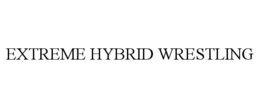 extreme hybrid wrestling