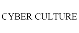cyber culture