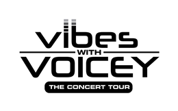 vibes with voicey