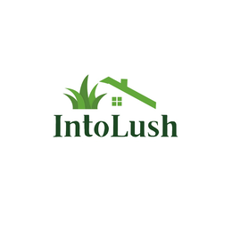 intolush