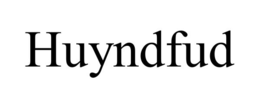 huyndfud