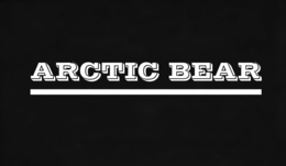 arctic bear
