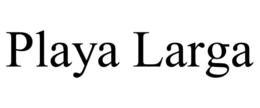playa larga