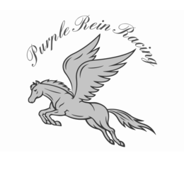 purple rein racing