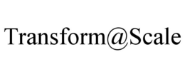 transform@scale