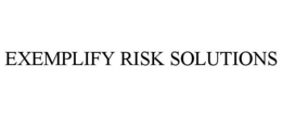 exemplify risk solutions