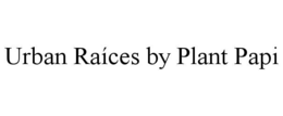 urban raÍces by plant papi