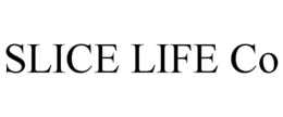 slice life co